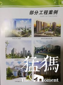 祝賀河南弘鼎建筑防水公司成為駐馬店市建筑防水協(xié)會(huì)常務(wù)會(huì)長(zhǎng)單位